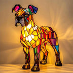 Exquisite Boxer